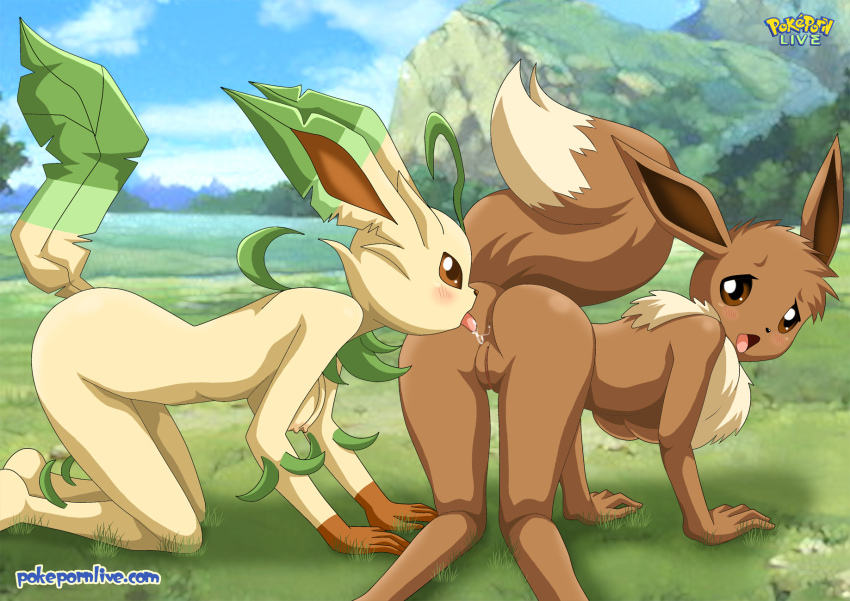 anilingus anus ass ass_licking barefoot bbmbbf eevee leafeon nintendo palco...