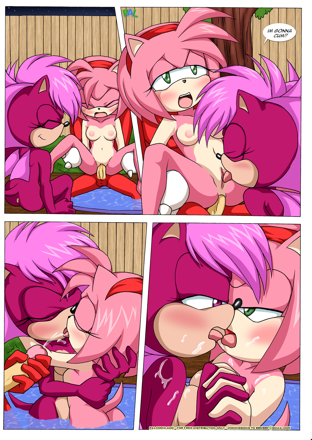 amy_rose anthro bbmbbf comic furry hot_tub_sex_machine knuckles_the_echidna...
