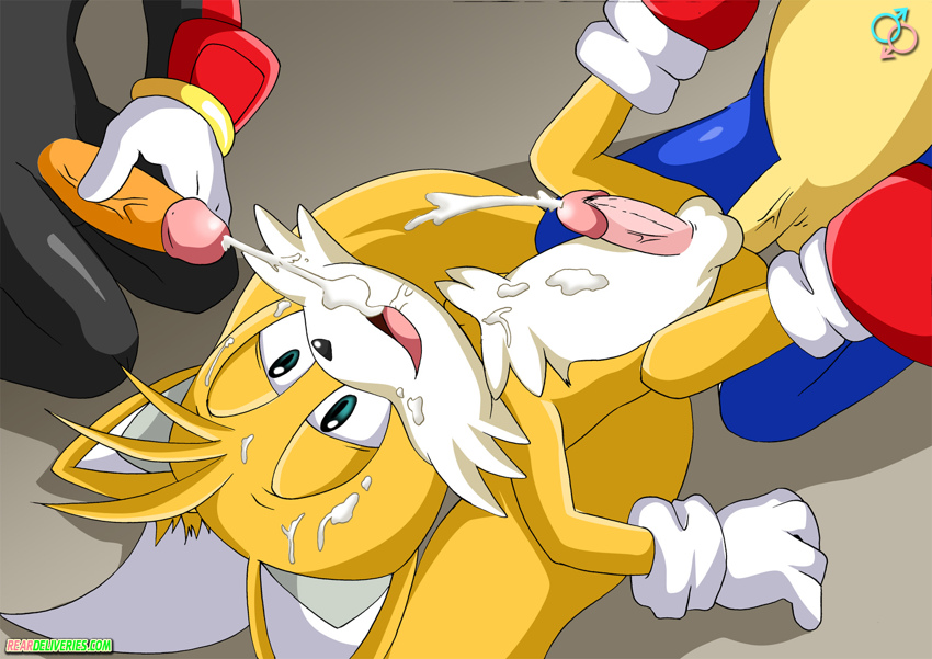 cute furry group_sex miles"tails"prower rear_deliveries sega soni...