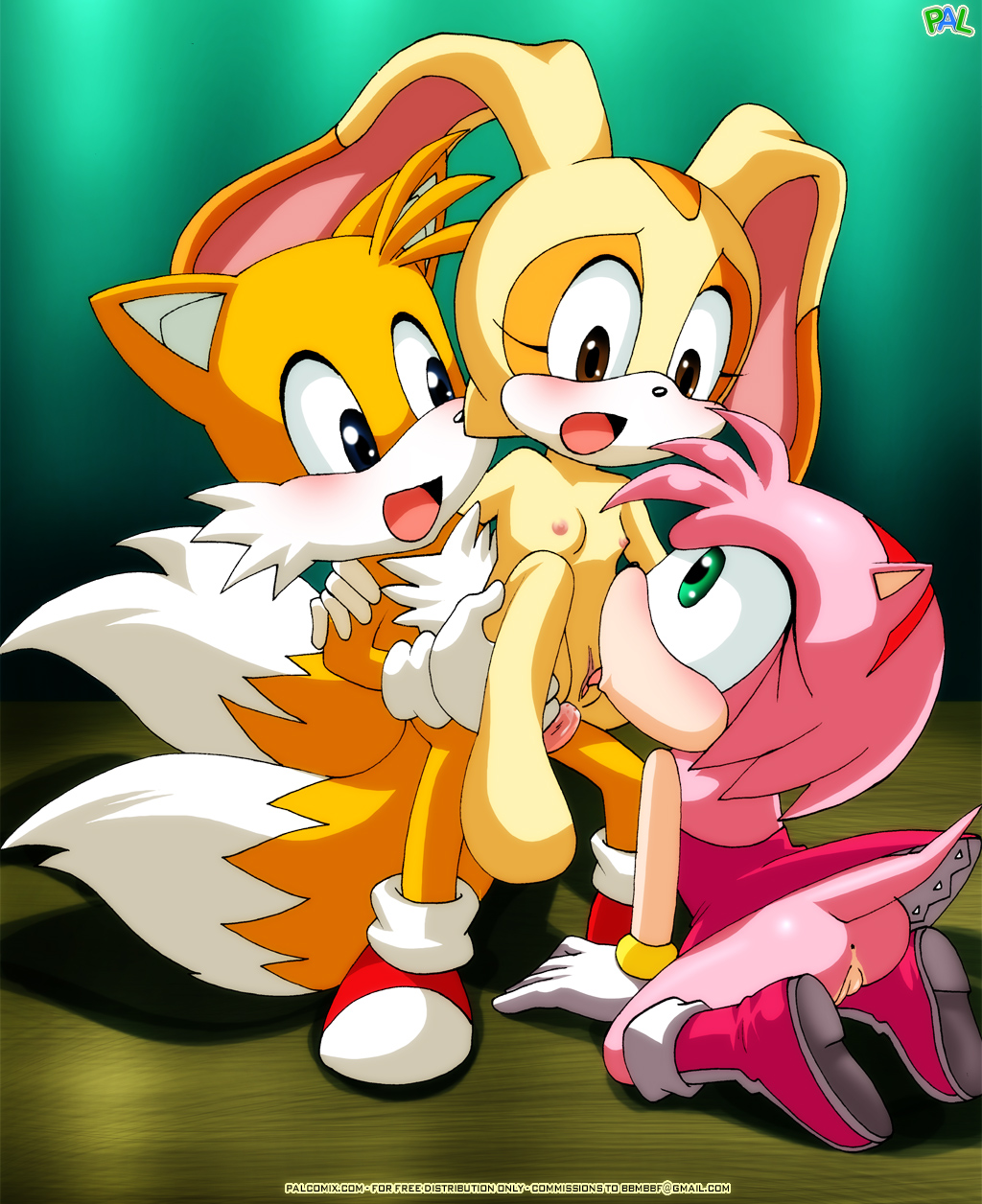 Xbooru - amy rose bbmbbf cream the rabbit miles "tails" prow