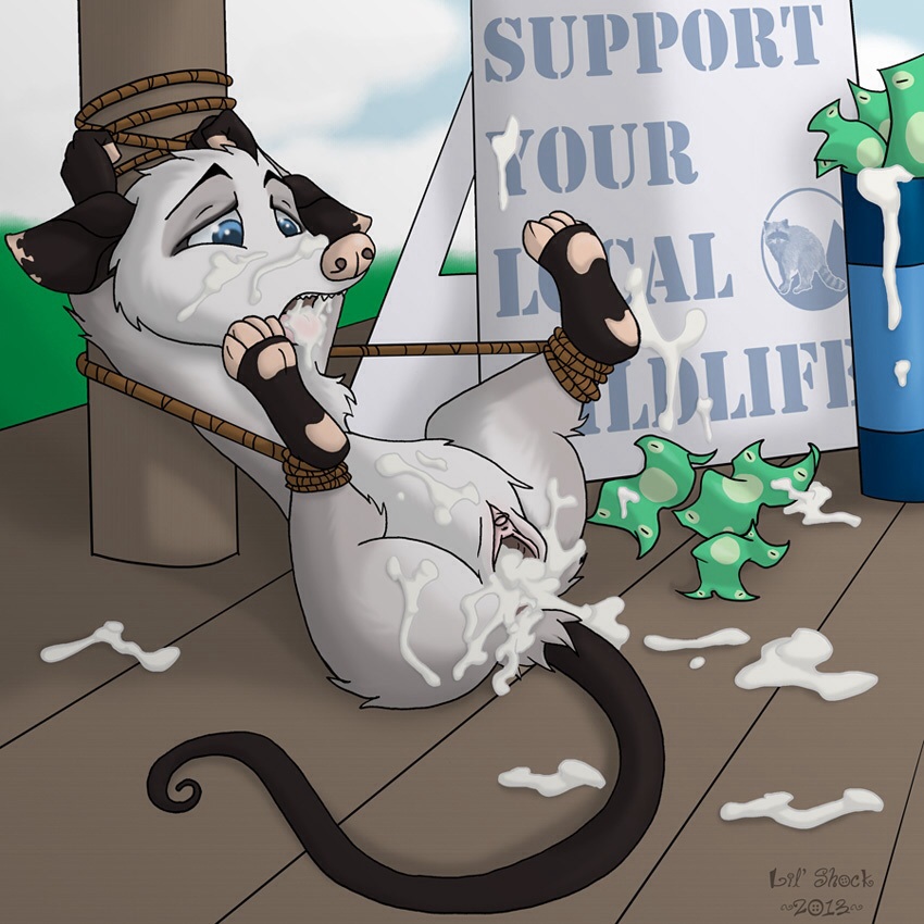 2013 beastiality cum furry heather(over_the_hedge) money opossum over_the_h...
