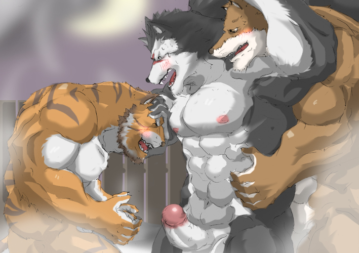 bara furry muscle tiger tongue wolf yaoi.