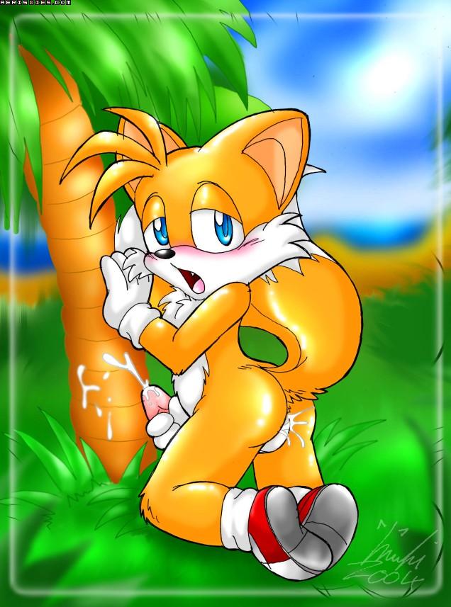 Miles Tails Prower Hentai