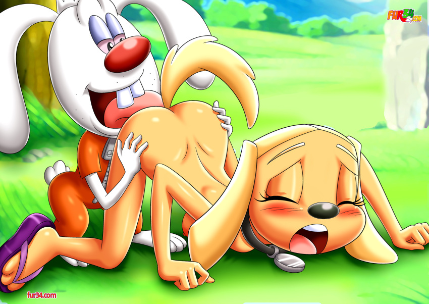 bbmbbf brandy_and_mr.whiskers brandy_and_mr_whiskers brandy_h...