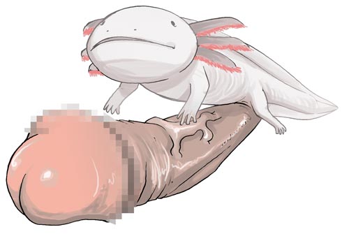 axolotl featured_image tagme.