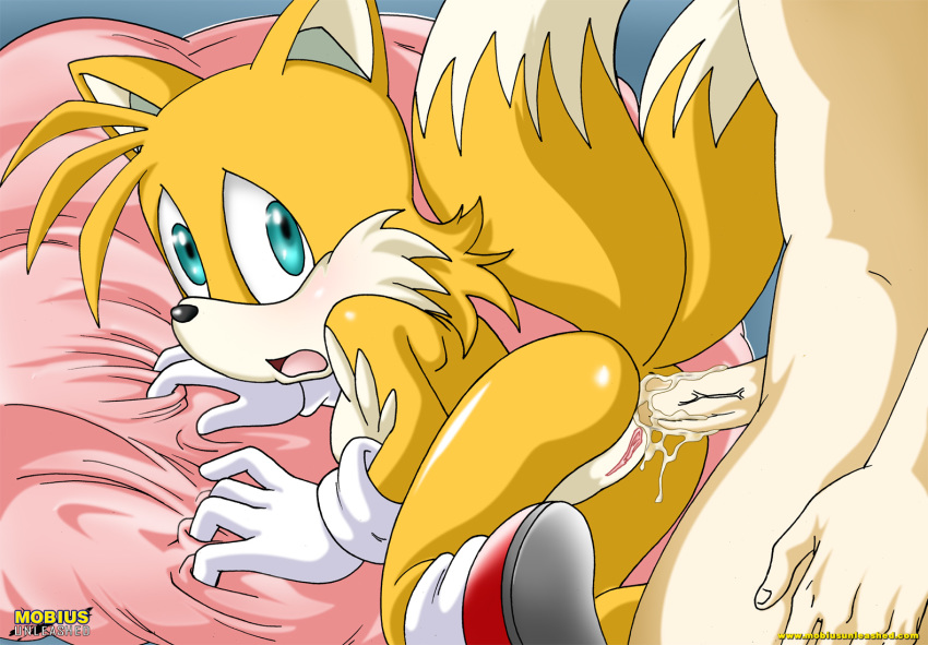 anthro bbmbbf furry miles"tails"prower millie_tailsko mobius_unle...