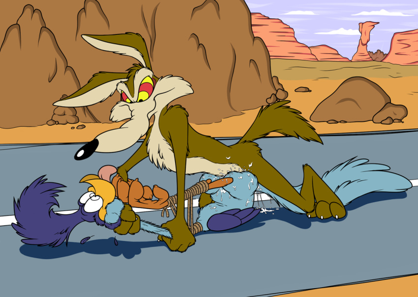 anal bird canine looney_tunes male_only outdoors public road road_runner ro...