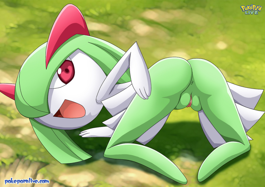 1girl all_fours anus ass ass_up bbmbbf butt female kirlia looking_back nint...