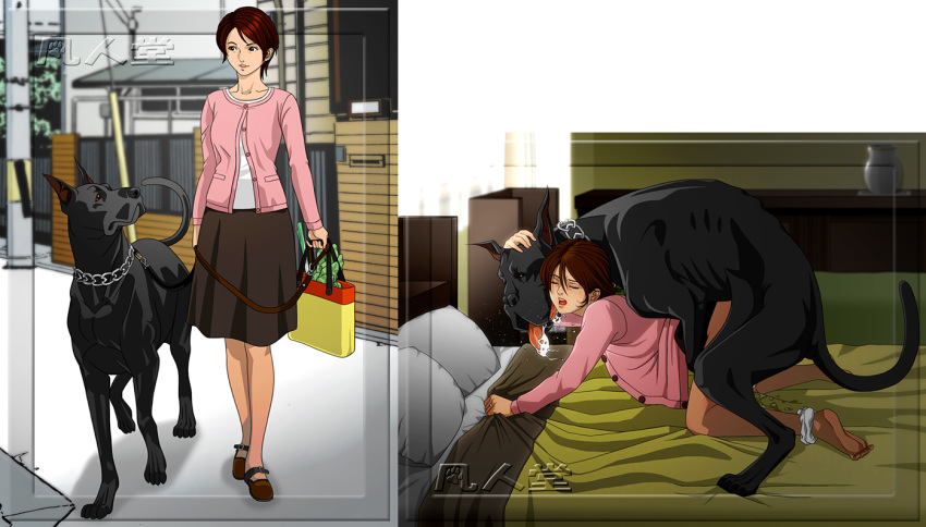 beastiality bed bottomless brown_hair canine closed_eyes clothed_sex collar...