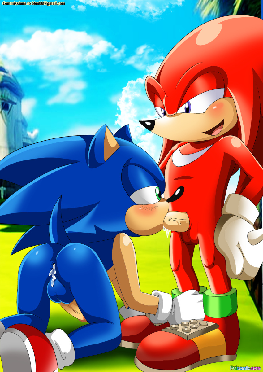 knuckles_the_echidna mobius_unleashed oral palcomix sega sonic(series) soni...