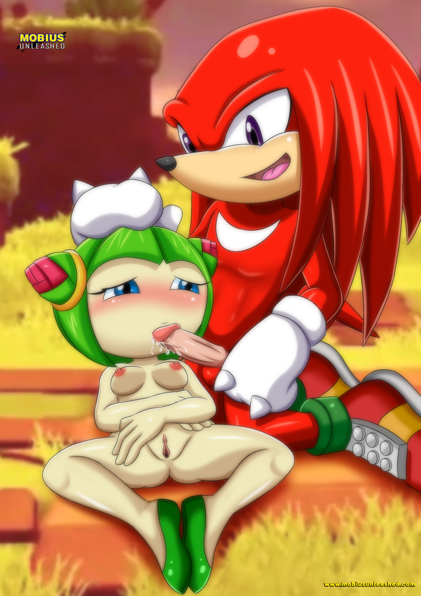 bbmbbf cosmo_the_seedrian knuckles_the_echidna mobius_unleashed palcomix se...