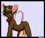  1boy furry male penis rat shiuk shiuk_(artist) solo  rating:explicit score:0 user:don