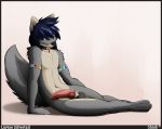  artist_name canine collar erection furry hair looking_at_viewer male male_only penis pose sheath shiuk shiuk_(artist) solo spreading testicles  rating:explicit score:8 user:mynameishere