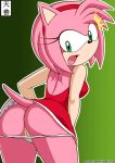 amy_rose ass furry pussy solo sonic sonic_team tail tenzen text rating:Explicit score:20 user:Nobelsdroff