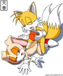  bunny_ears cream_the_rabbit furry miles_"tails"_prower multiple_tails nagano_tenzen sonic sonic_the_hedgehog tail tenzen  rating:explicit score:14 user:nobelsdroff