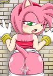 amy_rose ass bbmbbf hairless_pussy mobius_unleashed palcomix pussy pussy_juice sega sonic_(series) sonic_the_hedgehog_(series) wall rating:Questionable score:28 user:zipp