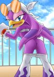 anus ass avian bbmbbf bird female from_behind glasses looking_at_viewer mobian mobius_unleashed palcomix pants purple pussy sega sky smile solo sonic_(series) sonic_team sonic_the_hedgehog_(series) standing sunglasses swallow tail wave_the_swallow rating:Explicit score:23 user:zipp