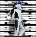 1_anthro 1_boy 1_male 1boy 2008 anthro anthro_canine anthro_only black_and_white blue_hair briefs canine fur furry hair looking_at_viewer male male_anthro male_only panties shiuk shiuk_(artist) solo solo_male standing tail tongue topless topless_anthro topless_male tundra_(oc) underwear wolf rating:questionable score:0 user:raw_x