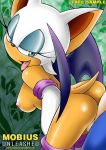 ass bbmbbf breasts butt eyeshadow female furry gloves hedgehog male mobius_unleashed nipple palcomix rouge_the_bat sega sideboob sonic_(series) sonic_the_hedgehog sonic_the_hedgehog_(series) tail testicle tongue tongue_out rating:Explicit score:46 user:Hellfire_SJ