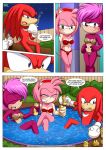 amy_rose anthro bbmbbf comic furry hot_tub_sex_machine knuckles_the_echidna mobius_unleashed palcomix sega sonia_the_hedgehog sonic_(series) sonic_team sonic_the_hedgehog_(series) sonic_underground rating:Explicit score:5 user:SimsPictures