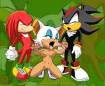 anthro bbmbbf comic furry knuckles_the_echidna mobius_unleashed palcomix rouge_the_bat sega shadow_the_hedgehog sonic_(series) sonic_team sonic_the_hedgehog_(series) rating:Explicit score:6 user:SimsPictures