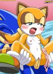 anthro bbmbbf furry marine_the_raccoon mobius_unleashed palcomix sega sonic_(series) sonic_team sonic_the_hedgehog sonic_the_hedgehog_(series) rating:Explicit score:18 user:SimsPictures