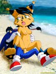anthro archie_comics bbmbbf furry mobius_unleashed nicole_the_lynx palcomix sega sonic_(series) sonic_team sonic_the_hedgehog sonic_the_hedgehog_(series) rating:Explicit score:14 user:SimsPictures