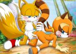 anthro bbmbbf blush furry hedgehog marine_the_raccoon miles_"tails"_prower mobius_unleashed multiple_tails palcomix sega sonic_(series) sonic_team sonic_the_hedgehog_(series) tail rating:Questionable score:15 user:matthew96