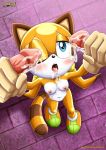 1girl bbmbbf furry marine_the_raccoon mobius_unleashed palcomix penis sega sonic_(series) sonic_the_hedgehog_(series) tagme rating:Explicit score:4 user:Heatwave-the-cat