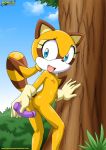 ass blue_eyes dildo female hedgehog marine_the_raccoon nipples open_mouth pussy sega sex_toy sonic_(series) sonic_the_hedgehog rating:Questionable score:3 user:SimsPictures