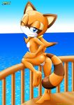 ass bbmbbf furry marine_the_raccoon mobius_unleashed palcomix sea sega smile sonic_(series) sonic_the_hedgehog_(series) tail rating:Questionable score:43 user:Matai07