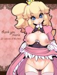 breasts female nintendo princess_peach sho-n-d stocking super_mario_bros. rating:Explicit score:12 user:SimsPictures