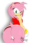 amy_rose ass female gloves hedgehog looking_back sega short_hair solo sonic_(series) suirano tail rating:Questionable score:33 user:ShadowKing11