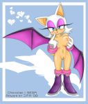  animal_ears bat_wings boots breasts furry gloves large_breasts nipples nude pussy rouge_the_bat sega sonic sonic_the_hedgehog steel_tigerwolf uncensored wings  rating:explicit score:6 user:rule35