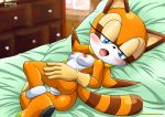 bbmbbf horny looking_at_viewer marine_the_raccoon mobius_unleashed palcomix pussy raccoon raccoon_tail sega sonic_(series) sonic_team sonic_the_hedgehog_(series) rating:Explicit score:26 user:Sonamy_fan02