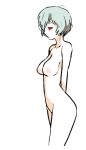  1girl breasts inkerton-kun neon_genesis_evangelion nipples nude rei_ayanami  rating:questionable score:3 user:fapraiser