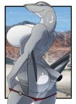  aeromorph airplane big_breasts breasts female inanimate mechie walter_sache  rating:questionable score:9 user:donkeypunch