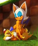 ass big_breasts breasts condom facesitting femdom looking_back miles_"tails"_prower milf_vs_boy pussylicking rouge_the_bat sonic_the_hedgehog theboogie wings rating:Explicit score:44 user:gokussj400