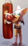 rouge_the_bat tagme rating:Questionable score:11 user:Phyckocrushah!!