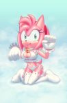  1girl amy_rose anthro breasts clothed clothing furry gloves green_eyes hedgehog mammal nitro sega sif sif_(artist) underwear video_games  rating:questionable score:27 user:furry_love