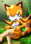 1girl bbmbbf furry marine_the_raccoon mobius_unleashed palcomix sega sonic_(series) sonic_the_hedgehog_(series) tagme rating:Explicit score:21 user:Heatwave-the-cat