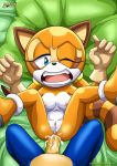 1girl bbmbbf furry marine_the_raccoon mobius_unleashed palcomix sega sex sonic_(series) sonic_the_hedgehog_(series) tagme rating:Explicit score:15 user:Heatwave-the-cat