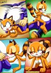 1girl bbmbbf big_the_cat furry m.e.s.s._3 marine_the_raccoon mobius_unleashed palcomix sega sonic_(series) sonic_the_hedgehog_(series) tagme rating:Explicit score:6 user:Heatwave-the-cat