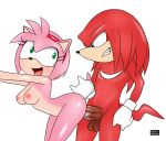 1boy 1girl amy_rose animal_ears breasts cute from_behind furry green_eyes knuckles_the_echidna nipples open_mouth penis pink_hair sex short_hair smile sonic_(series) tail testicle rating:Explicit score:11 user:gokussj400
