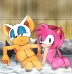 2_girls 2girls amy_rose anthro apostle_(artist) ass big_breasts breasts edit eyelashes female female_only furry huge_breasts large_breasts nude pussy rouge_the_bat sega sonic sonic_(series) tail rating:Explicit score:38 user:Hayabusa1999
