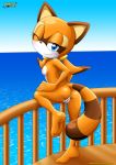 1girl anus ass barefoot bbmbbf full_body marine_the_raccoon mobius_unleashed palcomix pussy sega soles sonic_(series) sonic_the_hedgehog_(series) toes rating:Explicit score:22 user:Christianmar762