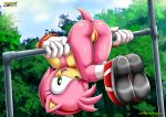 1girl 2017 amy_rose ass bbmbbf mobius_unleashed palcomix pussy sega sonic_(series) sonic_the_hedgehog_(series) rating:Explicit score:25 user:Christianmar762
