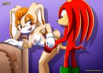 2018 bbmbbf knuckles_the_echidna mobius_unleashed nipples nude palcomix sega sonic_(series) sonic_the_hedgehog_(series) tagme vaginal_penetration vanilla_the_rabbit rating:Explicit score:10 user:Christianmar762