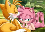 amy_rose barefoot bbmbbf big_breasts blush full_body lick licking_penis looking_at_viewer miles_"tails"_prower mobius_unleashed palcomix penis_lick pietro's_secret_club sega soles sonic_(series) sonic_the_hedgehog_(series) toes veins rating:Explicit score:-8 user:losttapes219