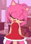  amy_rose cowgirl_position erection penis pussy_juice sega sonic_(series) sonic_team sonic_x spread_legs vaginal 